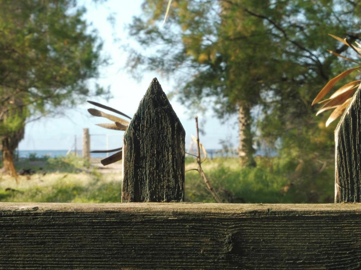 Palm Tree House By The Beach Skhoínos Exterior foto